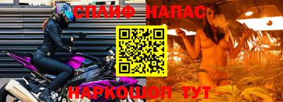 стаф Бузулук