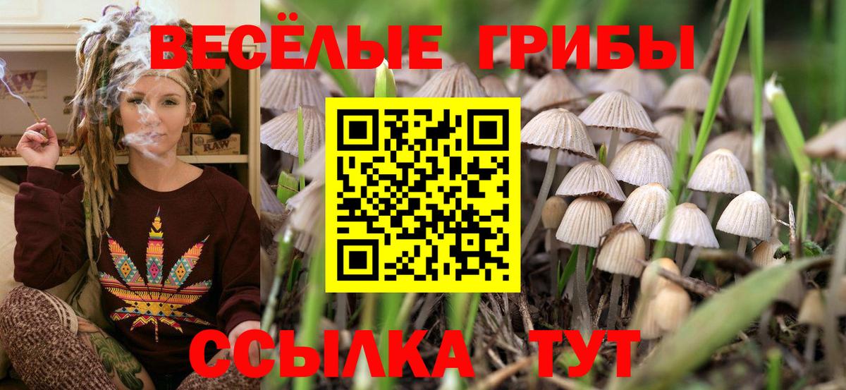 Псилоцибиновые грибы Magic Shrooms Химки