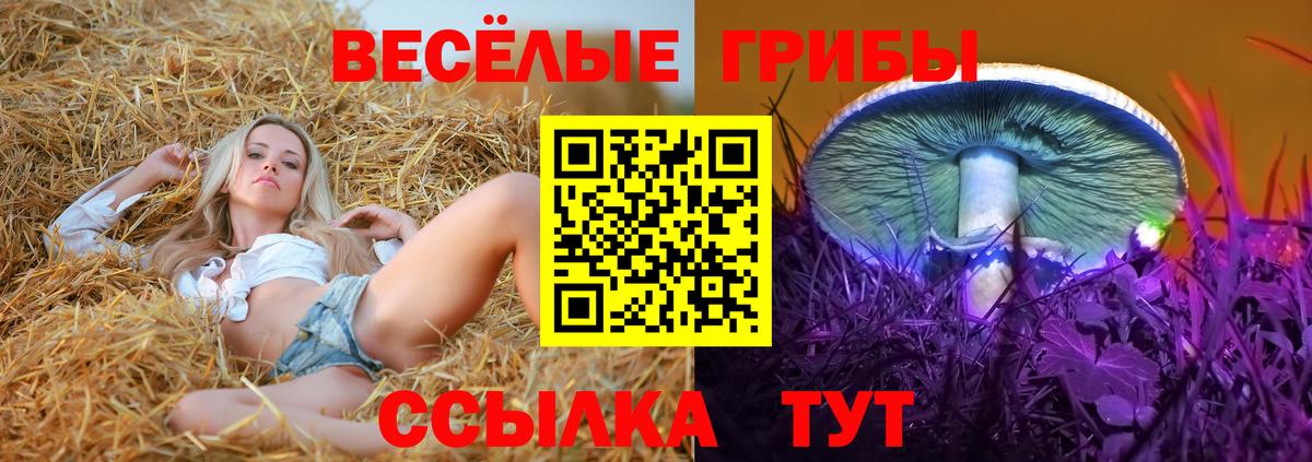 Галлюциногенные грибы MAGIC MUSHROOMS  Галлюциногенные грибы Magic Shrooms  Химки  Вход с VPN 